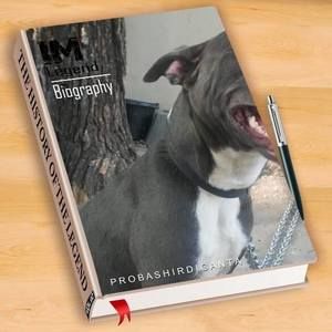 Meet your Posher, Gustavo